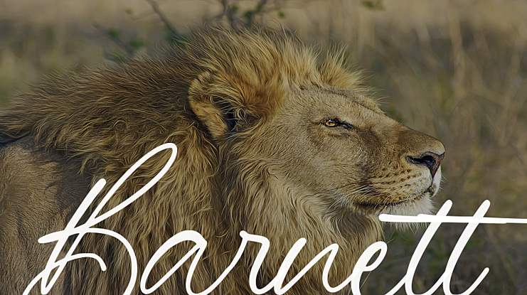 Barnett Font