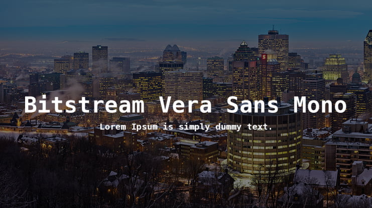 Bitstream Vera Sans Mono Font Family