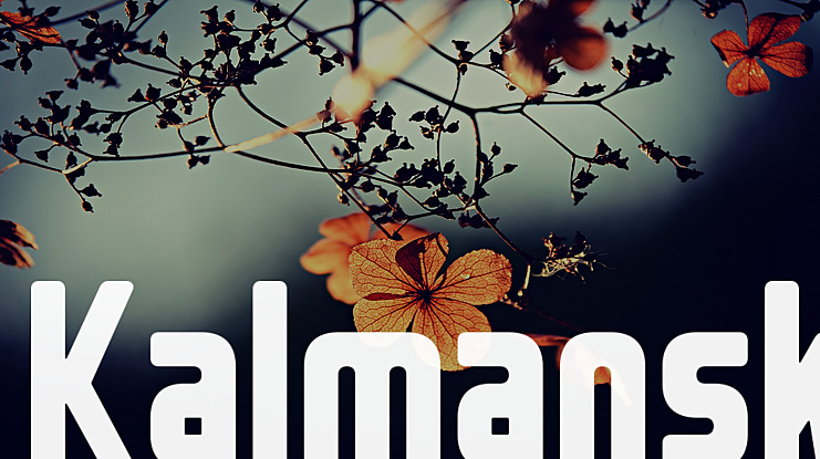Kalmansk Font
