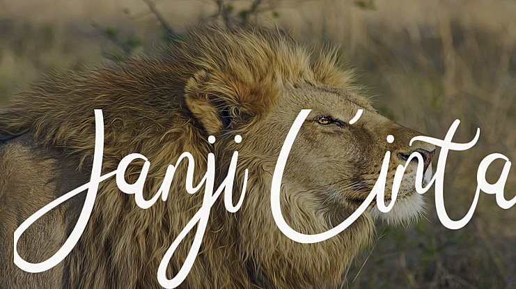 Janji Cinta Font
