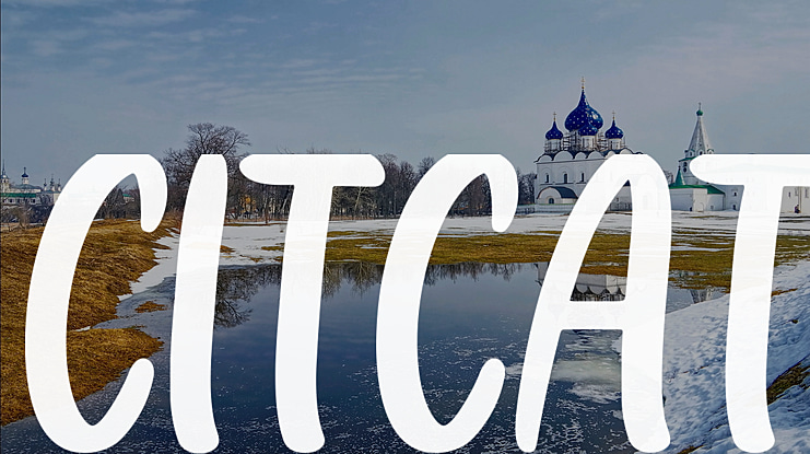 CITCAT Font