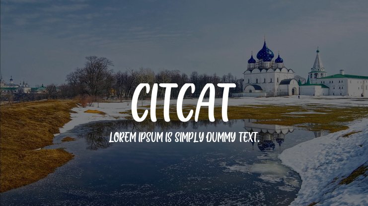 CITCAT Font