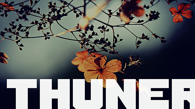 Thuner Font