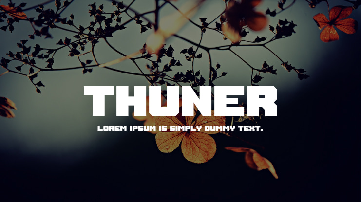 Thuner Font