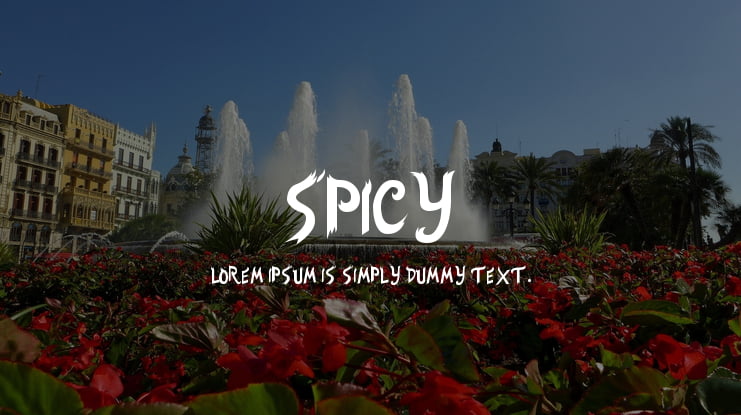 Spicy Font