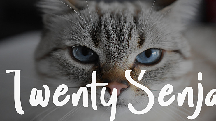 Twenty Senja Font