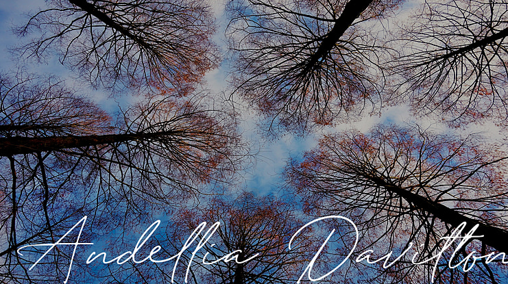 Andellia Davilton Font