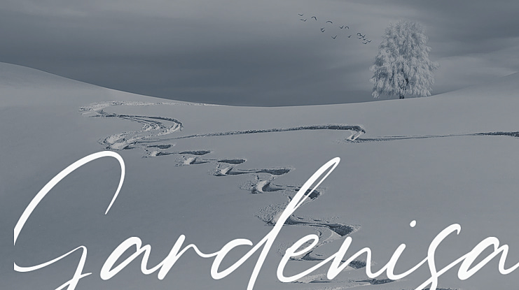 Gardenisa Font