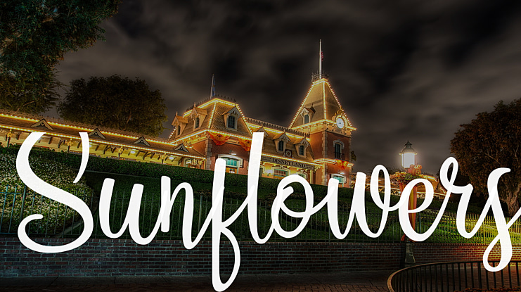 Sunflowers Font Family