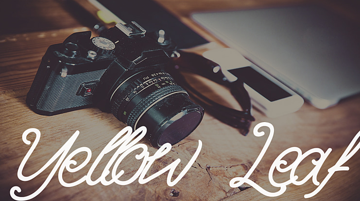 Yellow Leaf Font
