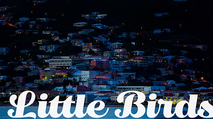 Little Birds Font