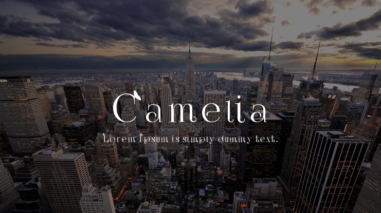 Camelia Font