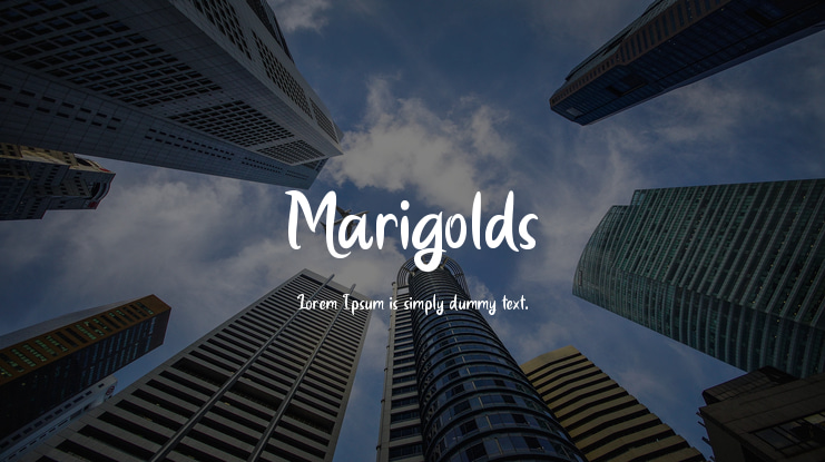 Marigolds Font