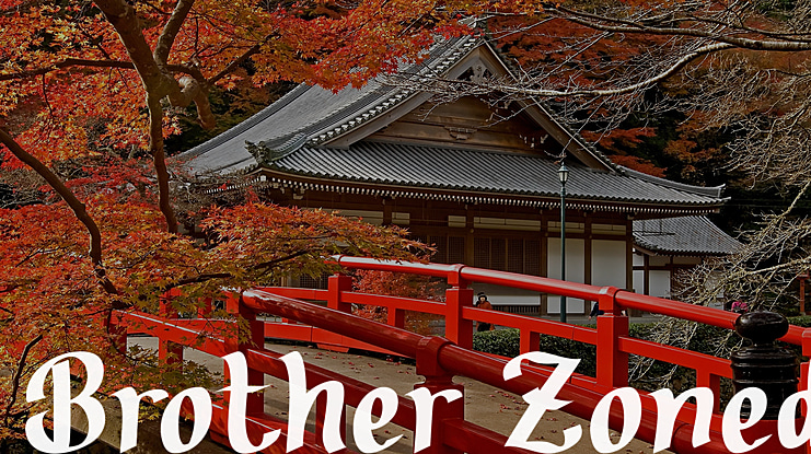 Brother Zoned Font Family