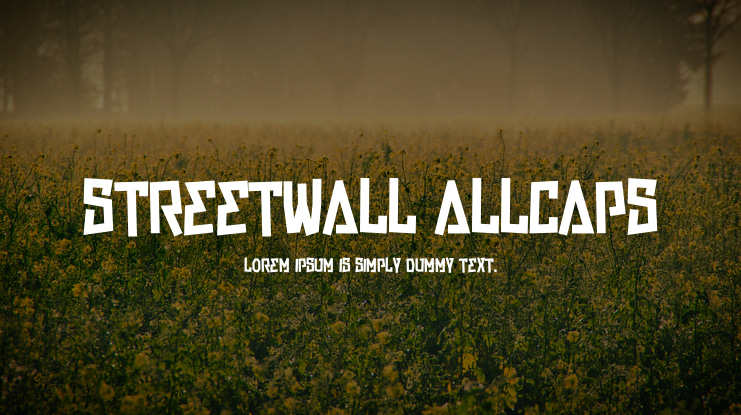 Streetwall Allcaps Font