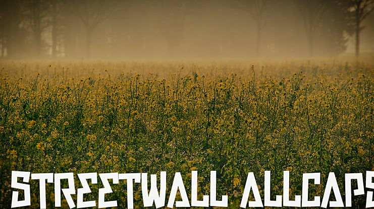 Streetwall Allcaps Font