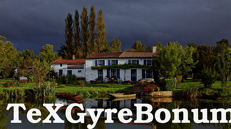 TeX Gyre Bonum Font Family