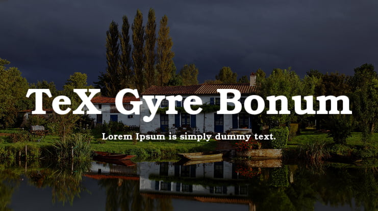 TeX Gyre Bonum Font Family