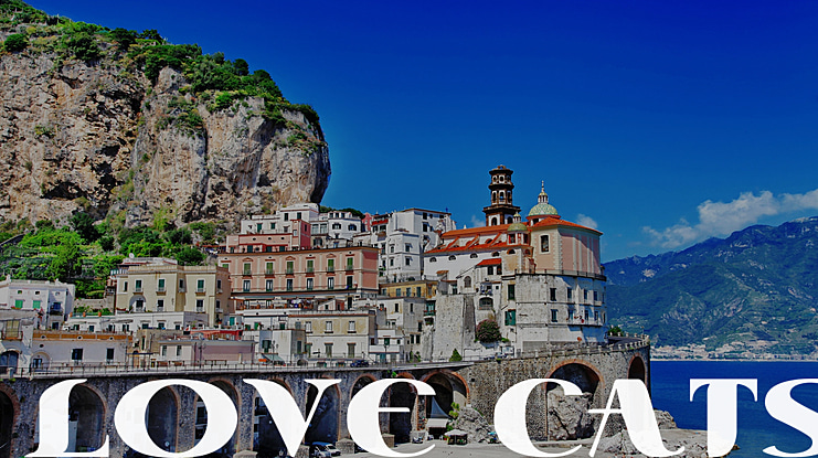 Love Cats Font Family