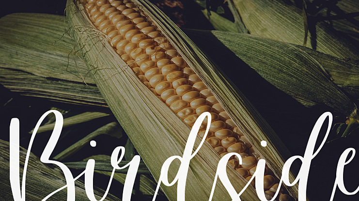 Birdside Font