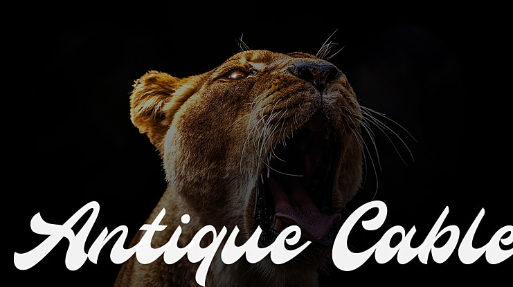 Antique Cable Font