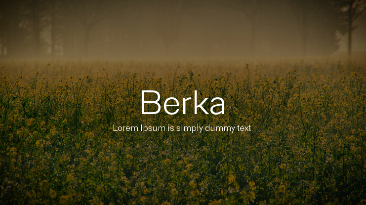 Berka Font