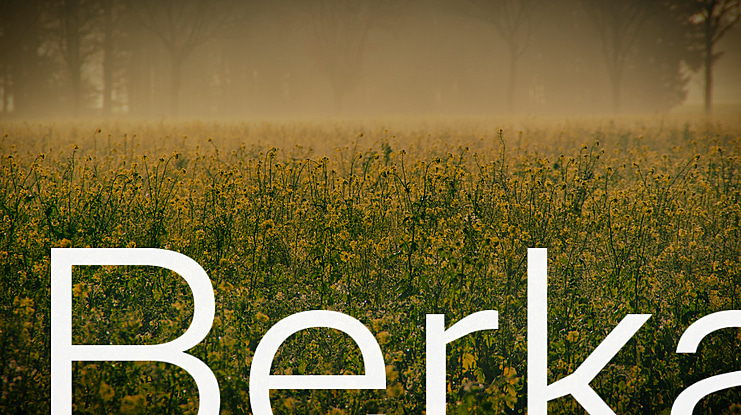 Berka Font