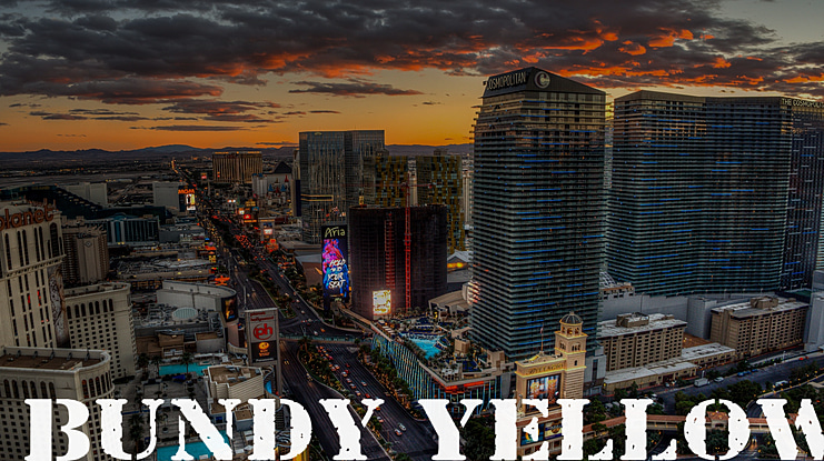 Bundy Yellow Font Family