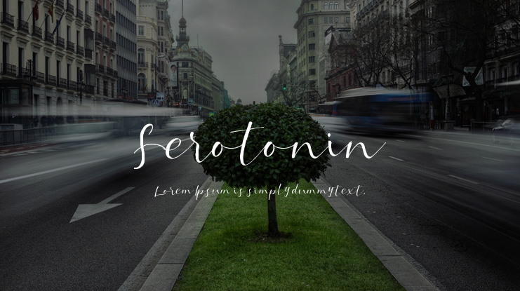 Serotonin Font