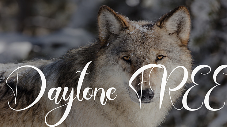 Daytone FREE Font