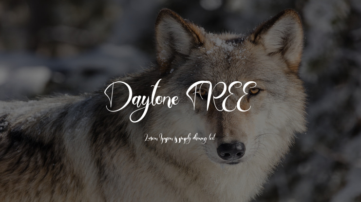Daytone FREE Font