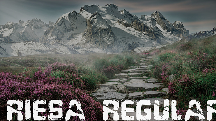 Riesa Font