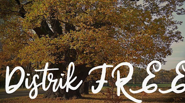 Distrik FREE Font