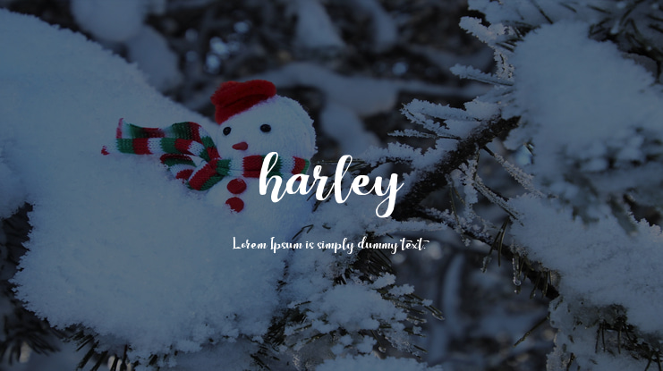 harley Font