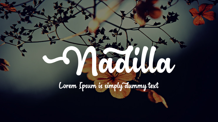 Nadilla Font