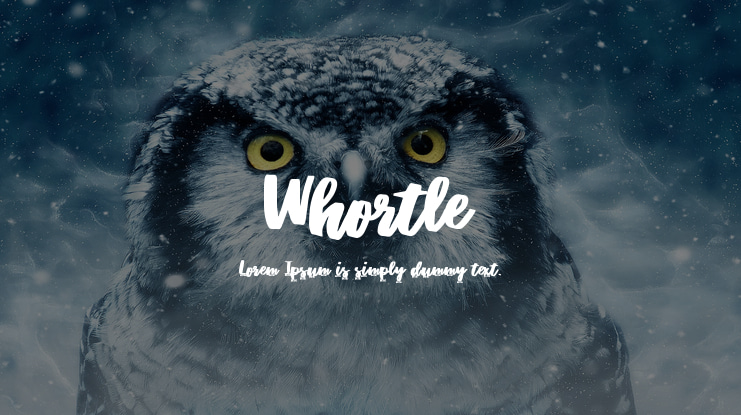 Whortle Font