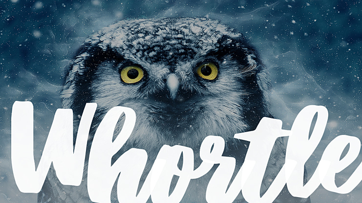 Whortle Font
