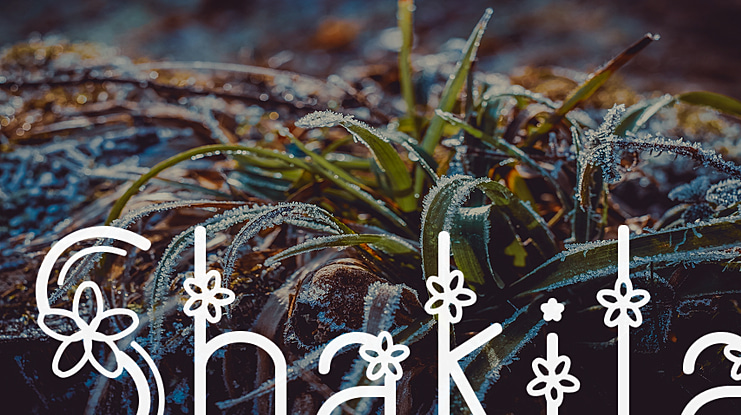Shakila Font