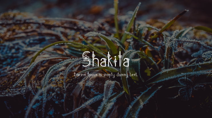 Shakila Font