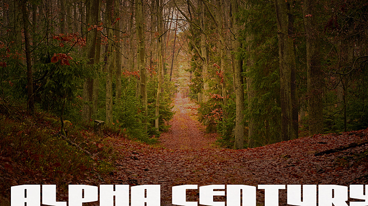 Alpha Century Font Family