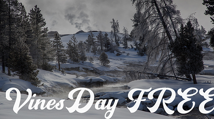 VinesDay FREE Font