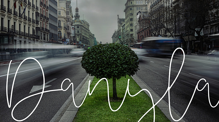 Danyla Font