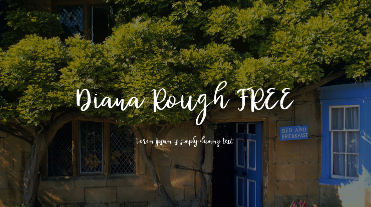 Diana Rough FREE Font