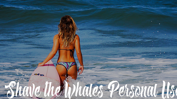 Shave the Whales Personal Use Font