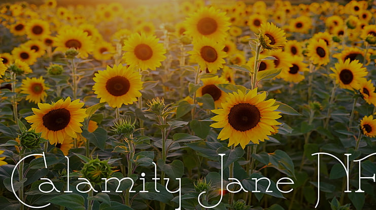 Calamity Jane NF Font Family