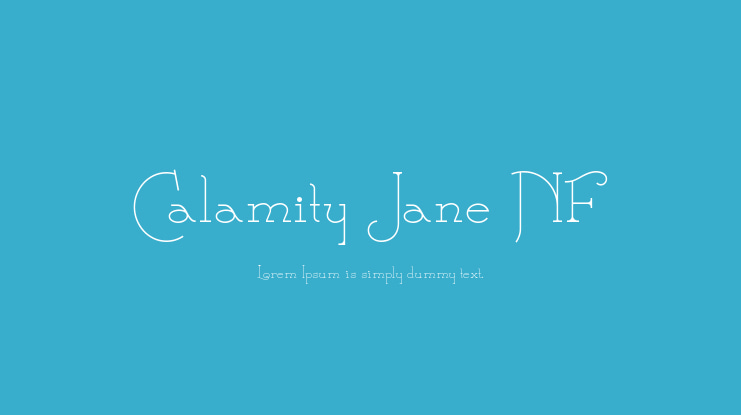 Calamity Jane NF Font Family