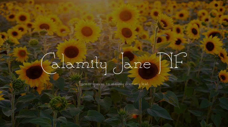 Calamity Jane NF Font Family