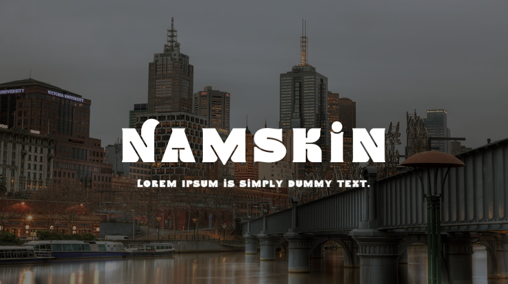 Namskin Font Family