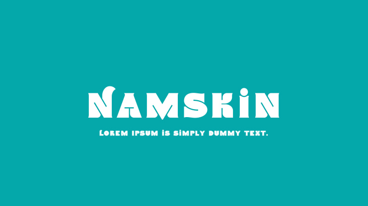Namskin Font Family