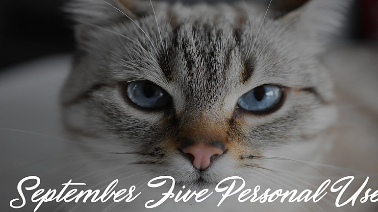 September Five Personal Use Font
